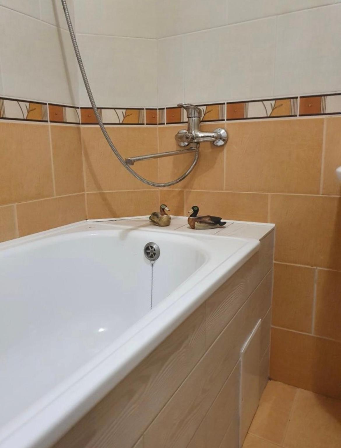 Затишна Квартира В Центрі Міста Lutsk Ngoại thất bức ảnh